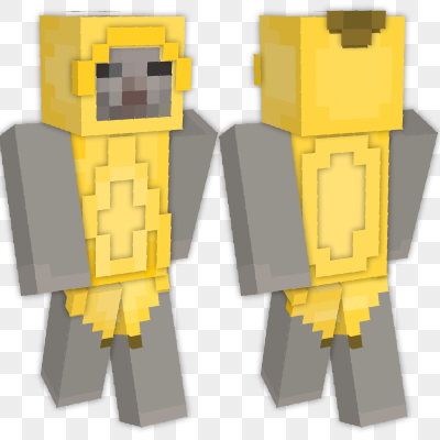 Classic Cat Minecraft Skin | laby.net