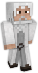 Man Minecraft Skins