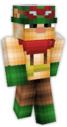 lolz  Minecraft Skin