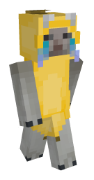 Minecraft Skin - Laby