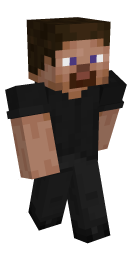 Steve Minecraft Skin - Laby
