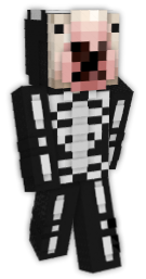 Skeleton Minecraft Skins