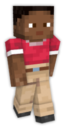 Mine Blocks - Awesome Boy skin by GoldenLord555