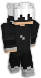 blindfolded  Minecraft Skins