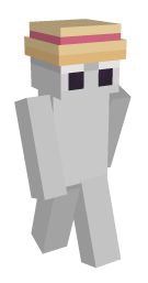White Minecraft Skin - Laby