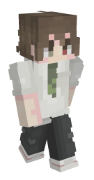Boy Brown Hair Minecraft Skin - Laby