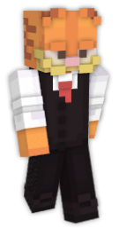 CAT PFPS  Minecraft Skin