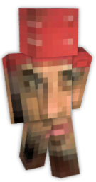 Face Minecraft Skins