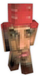 skin meme  Minecraft Skins