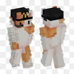 Cat Mcdonalds Minecraft Skin | laby.net